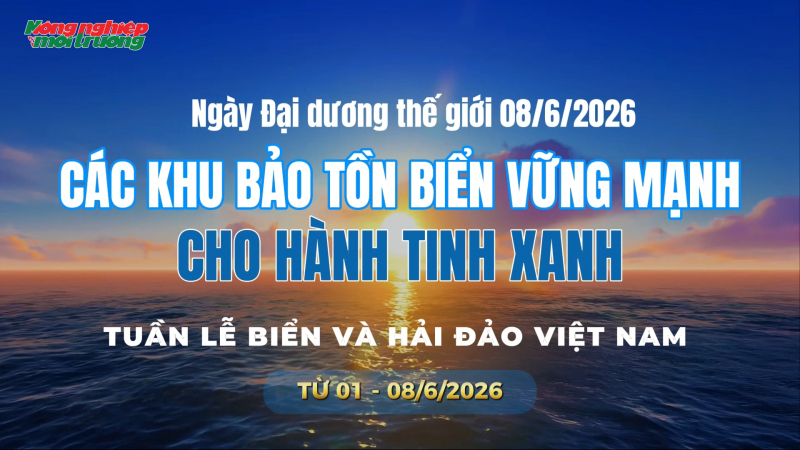 Sứ mệnh xanh trong nhịp đập đại dương