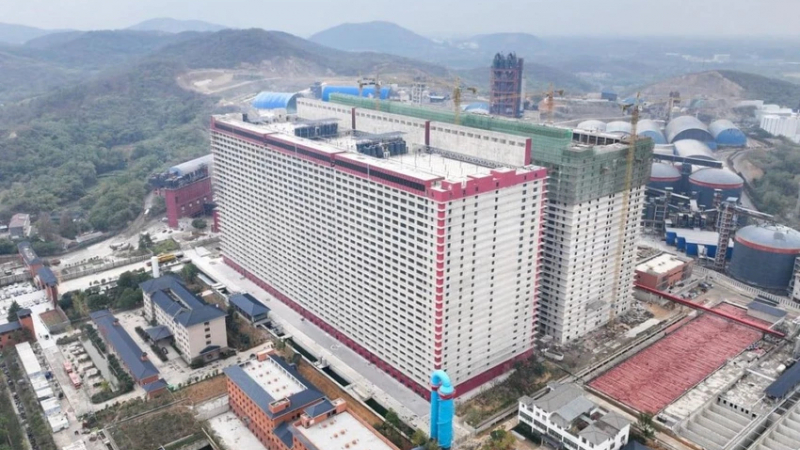 Hà Nội nghiên cứu xây tổ hợp 'chung cư' nuôi lợn tại 3 xã
