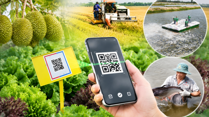 Hệ thống truy xuất nguồn gốc nông sản dự kiến vận hành từ ngày 1/7