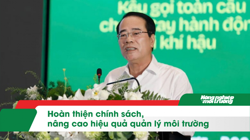 Hoàn thiện chính sách, nâng cao hiệu quả quản lý môi trường