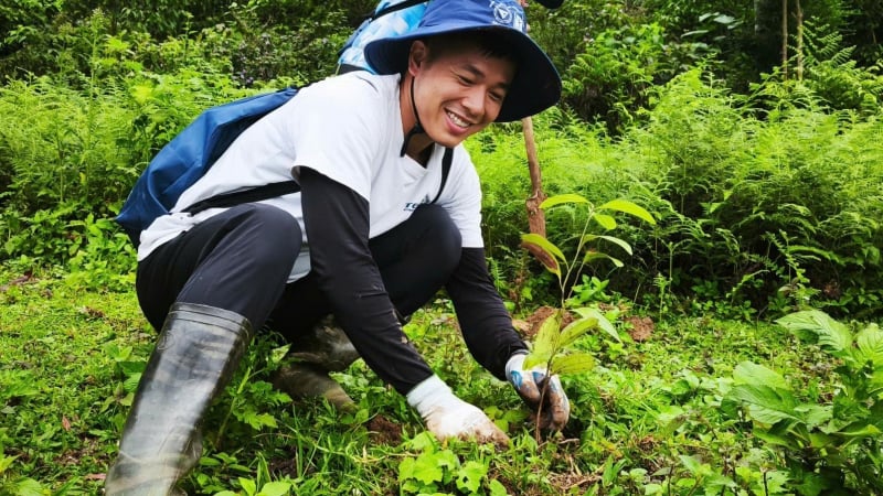 'Rừng xanh lên 2025': Chung tay hồi sinh rừng Tây Bắc