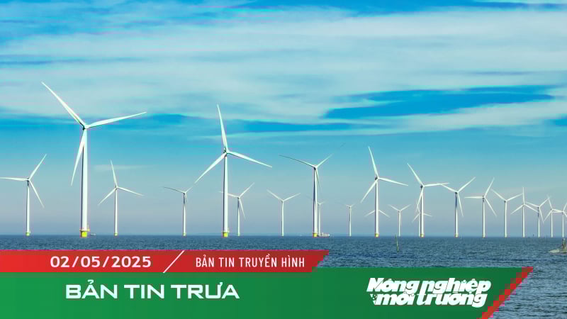 Năm 2030 sẽ đạt 6–10 GW điện gió ngoài khơi