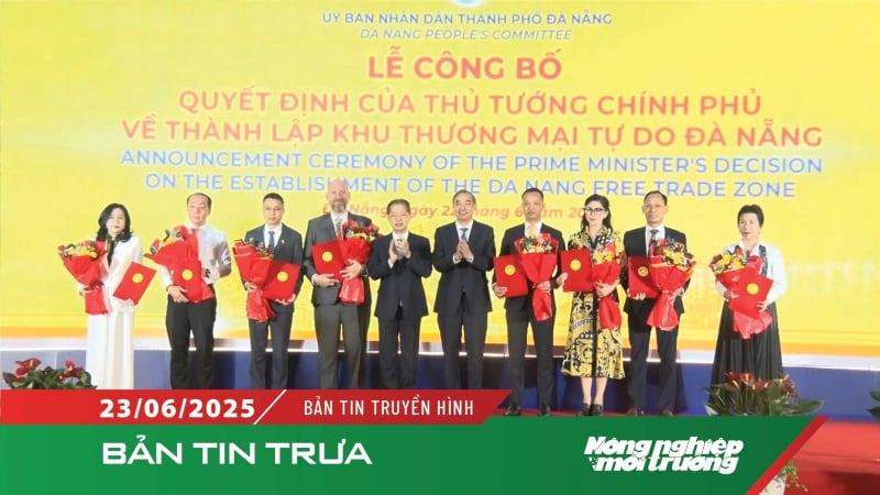 Chính thức thành lập Khu thương mại tự do Đà Nẵng