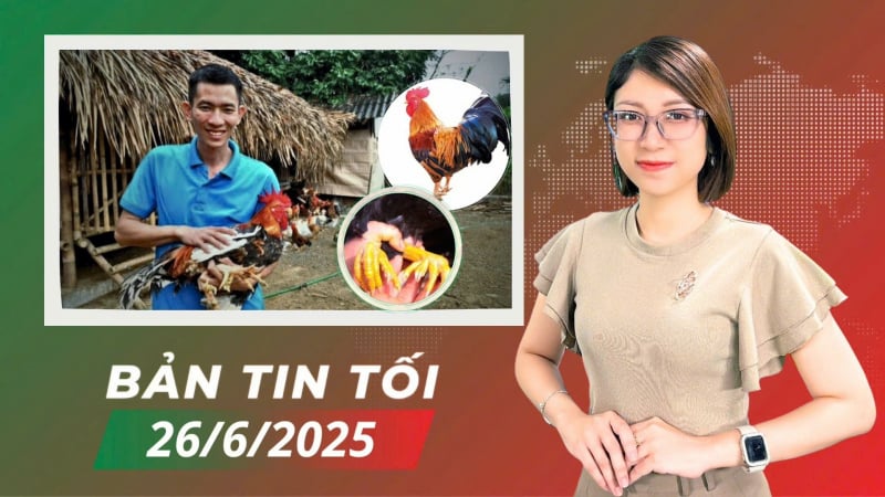 Gà nhiều cựa – ‘Cánh cửa’ làm giàu của người Tân Sơn