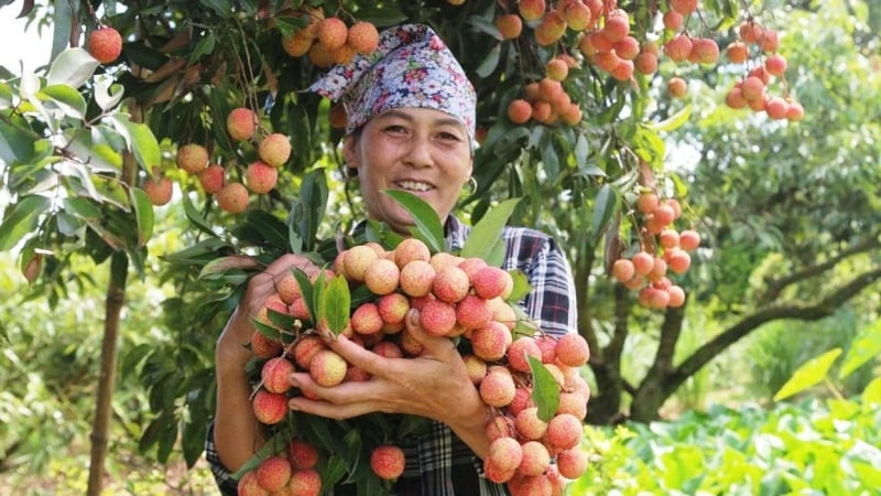 Bát Trang tiến lên nông thôn mới kiểu mẫu trên quê hương anh hùng