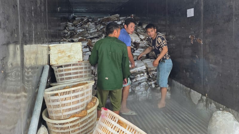 25 tấn thực phẩm đông lạnh bốc mùi không rõ nguồn gốc