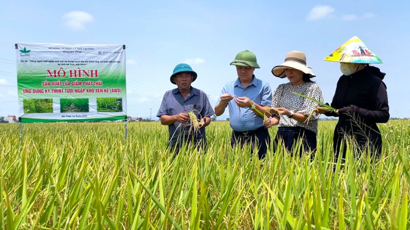 Nhiều nơi trồng lúa giảm phát thải, tưới tiết kiệm thích ứng biến đổi khí hậu