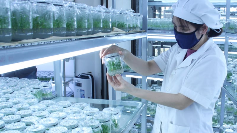 Nghị quyết 57: Luồng sinh khí mới cho khoa học công nghệ