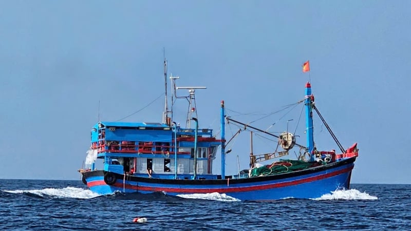 Gỡ lưới mắc vào chân vịt, một lao động bị sóng cuốn
