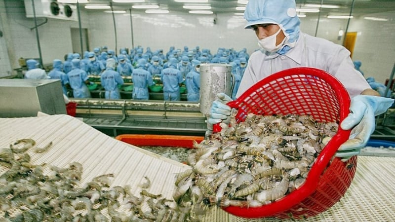 Tôm Việt Nam bị DOC tính thuế chống bán phá giá cao bất thường