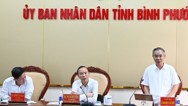 Bình Phước chú trọng phát triển chăn nuôi theo chuỗi giá trị