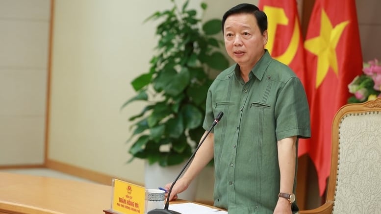 Phát triển dược liệu dưới tán rừng phải gắn với sinh kế, giữ dân, giữ rừng