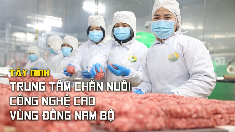 Tây Ninh -  Trung tâm chăn nuôi công nghệ cao vùng Đông Nam Bộ