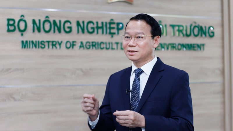 Những hành động nhỏ cho một tương lai lớn không rác thải nhựa