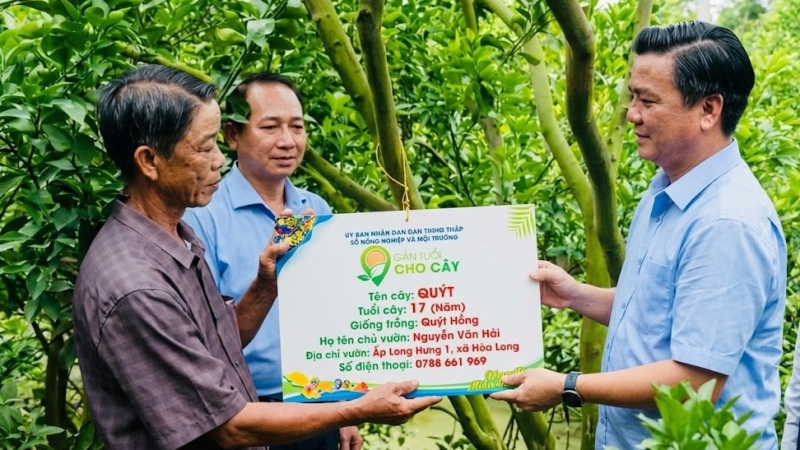 Gắn tuổi cho cây, gìn giữ hồn quê từ những vườn trái ngọt