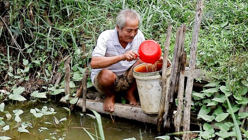 Hàng trăm hộ dân vùng U Minh thiếu nước ngọt