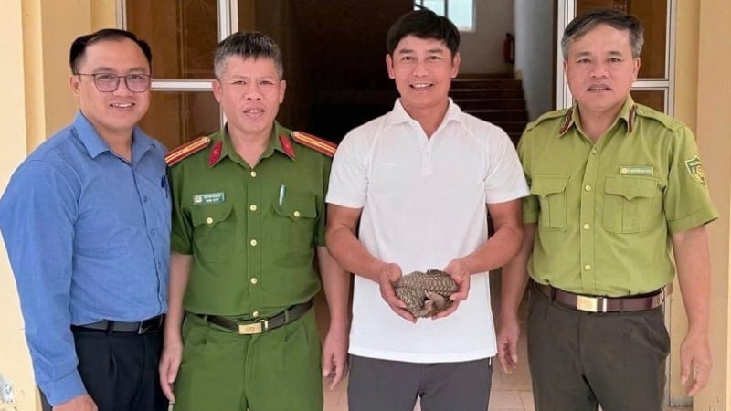 Đưa động vật hoang dã về với tự nhiên