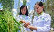 Nhìn thẳng vào ‘sức khỏe’ nhà khoa học: [Bài 7] Chờ cơ chế đủ rộng