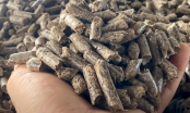 Vì sao Hàn Quốc phải nhập khẩu hàng triệu tấn viên nén từ Việt Nam?