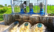 Dồn lực giữ an toàn vùng trồng lúa
