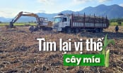 Cần cái 'bắt tay' chặt hơn giữa nông dân và doanh nghiệp