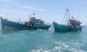 Khởi tố 2 vụ án tàu cá vi phạm khai thác IUU