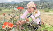 Những biểu tượng làm giàu bền vững giữa núi rừng Tây Bắc