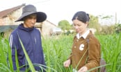 Sắp xếp hệ thống ngành dọc nông nghiệp: Quảng Trị tạm thời giữ nguyên trạng