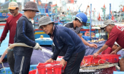 Vận động ủng hộ ngư dân ngành thủy sản có hoàn cảnh khó khăn