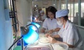 Chăm sóc đàn chim bằng sự tận tâm