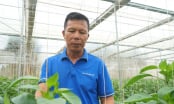 Đầu tư tiền tỷ, thu lại nhiều tỷ