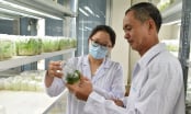 Nhìn thẳng vào ‘sức khỏe’ nhà khoa học: [Bài 2] Chuyện Phòng thí nghiệm trọng điểm