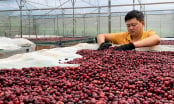 Nhìn thẳng vào ‘sức khoẻ’ nhà khoa học: [Bài 6] Cần một 'liều thuốc' đủ mạnh
