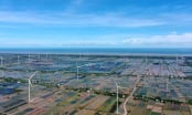 Vietnam is determined to achieve carbon neutrality