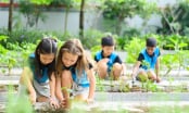 Công bố thể lệ Giải thưởng Trường học Sinh thái ASEAN 2025 tại Việt Nam