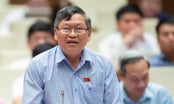 Cần giải pháp tầm quốc gia chống hàng giả, thực phẩm bẩn