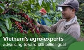 Coffee accelerates thanks to FTA advantages