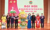Xây dựng 'Nông nghiệp sinh thái, nông thôn hiện đại, nông dân văn minh'