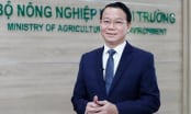 Bộ trưởng Đỗ Đức Duy dẫn đầu phái đoàn công tác đến Hoa Kỳ