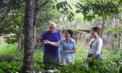 The craft of making agarwood by using microbial products