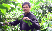 Người đưa cà phê đặc sản Đà Lạt lên tầm cao mới