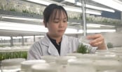 Nhìn thẳng vào ‘sức khỏe’ nhà khoa học: [Bài 5] Nặng gánh mưu sinh