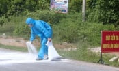 Quảng Trị tiêu hủy trên 170 tấn lợn bị dịch tả lợn Châu Phi