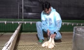 Tăng tính chủ động cho thú y cơ sở