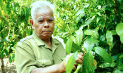 Huyền thoại sống ở sóc Bom Bo