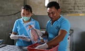 Xây dựng thương hiệu cá lóc khô tẩm gia vị trên vùng cát