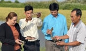 600 million USD from investment funds allocated to natural agriculture