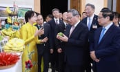 Multi-channel, multi-directional Vietnamese agricultural markets: [1] Global situation
