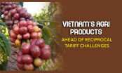 Evaluating market strategies for Vietnamese coffee