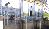 Hàng trăm ha đất nông nghiệp bị ảnh hưởng do đập ngăn mặn xuống cấp